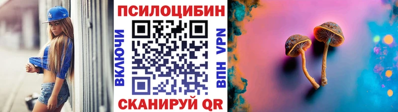 Галлюциногенные грибы Psilocybine cubensis  Купить где  Печоры 